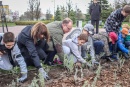 Urząd Miasta Płocka