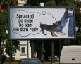 Sprzątnij po mnie, bo sam nie dam rady
