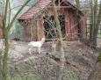 Nowi mieszkańcy zoo