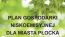 Urząd Miasta Płocka