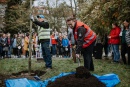 Urząd Miasta Płocka