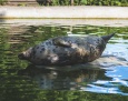 Bilet do zoo z rocznym terminem ważności