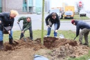 Dziennikarze Magdalena Walewska-Randak, Jacek Danieluk, Michał Siedlecki i ogrodnik miejski Ryszard Dudzic