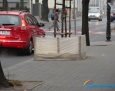 Osłony zimowe na drzewach w Płocku