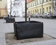 Rozpoczęło się zabezpieczanie drzew na zimę