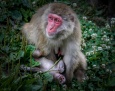 „ZOO najpiękniejsi”- wyniki konkursu