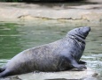 Wieczór marzeń w zoo