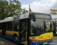 Reggaebus dla festiwalowiczów