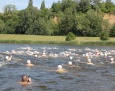 Maraton pływacki dookoła Sobótki