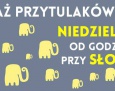 Przy słoniarni będą sprzedawać przytulaki