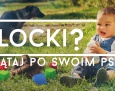 Klocki? Sprzątaj po swoim psie