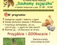 Poszukaj zajączka w… zoo