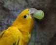 W płockim zoo zamieszkały nowe zwierzęta