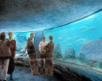 Startuje budowa akwariów w płockim zoo
