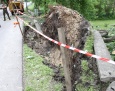 Utrudnienia w ruchu w Borowiczkach. Powalone drzewa